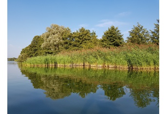 Wasserröhricht Südufer Unterer Ostorfer See © Landeshauptstadt Schwerin/Dr. Hauke Behr