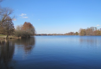 Blick über den Lankower See vom Südufer © Dr. Stefan Sandrock