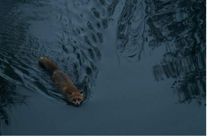  © Monika Lawrenz