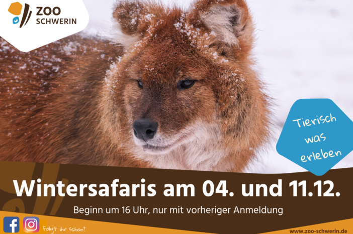 © Zoo Schwerin