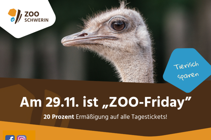 © Zoo Schwerin