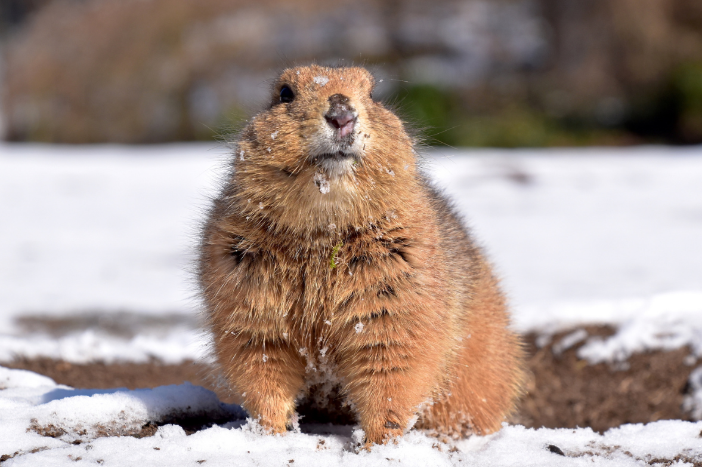 Der Zoo in Schwerin hat über die Feiertage täglich geöffnet. &copy; Zoo Schwerin
