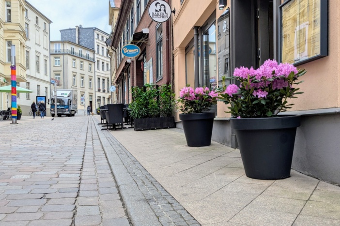 Gern gesehen: Solitärbepflanzungen wie Kletterrosen, aber auch Blumenkübel zur Verschönerung sind erlaubt. © Landeshauptstadt Schwerin/Ulrike Auge